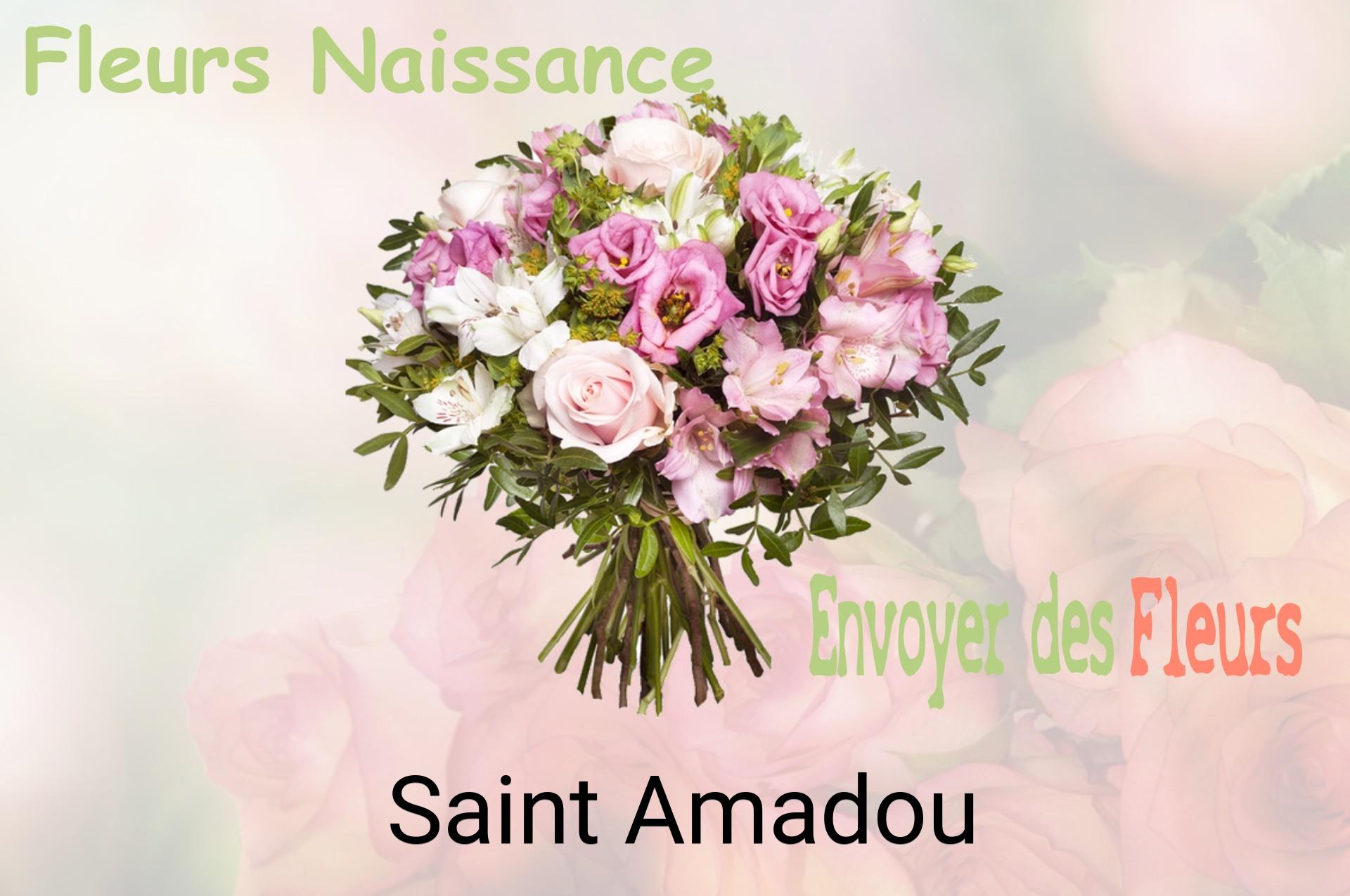 Bouquet de fleurs de naissance livré à Saint-Amadou