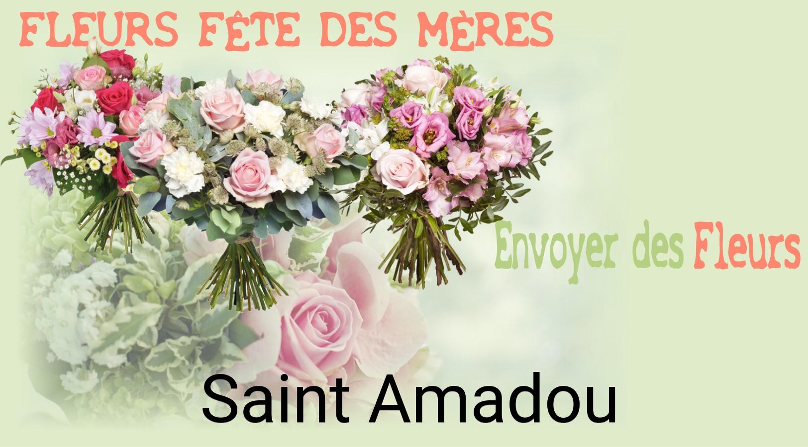 Bouquet de Fête des Mères livré à Saint-Amadou